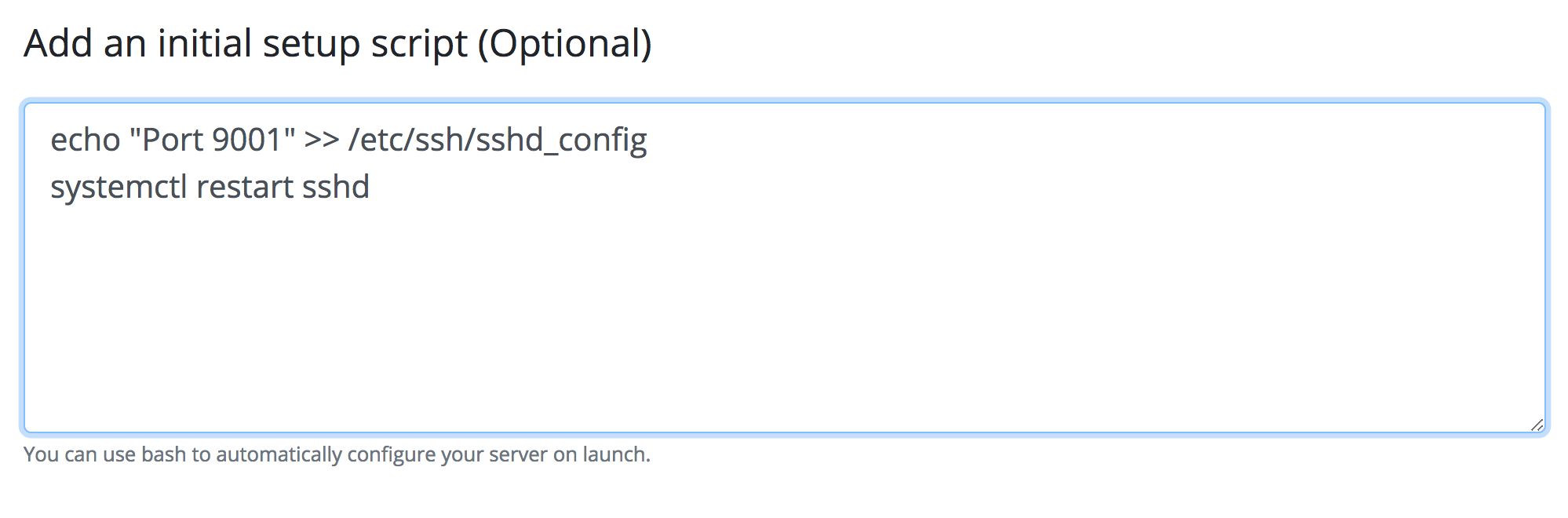 The startup script field in the server creation panel