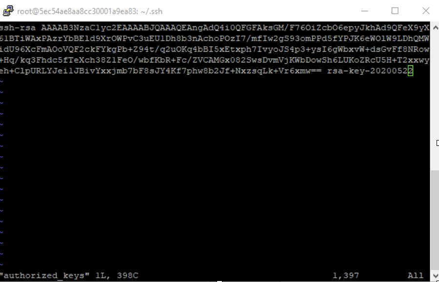 Public key output in SSH