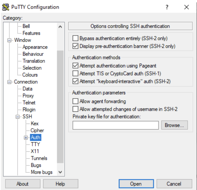 Auth settings in PuTTy