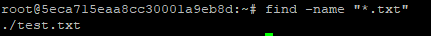 The output reads: ./test.txt