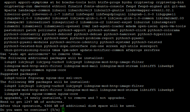 Nginx installation continue prompt in the command line