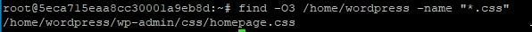 The output reads: /home/wordpress/wp-admin/css/homepage.css