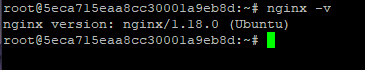 Command line text reads: nginx version: nginx/1.18.0 (Ubuntu)