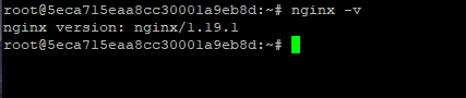 Command line version output: nginx version: nginx/1.19.1