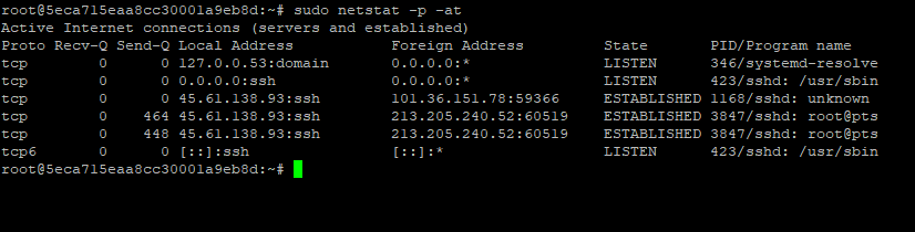 Netstat readout sorted by protocol