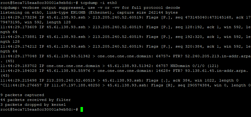 TCPdump readout