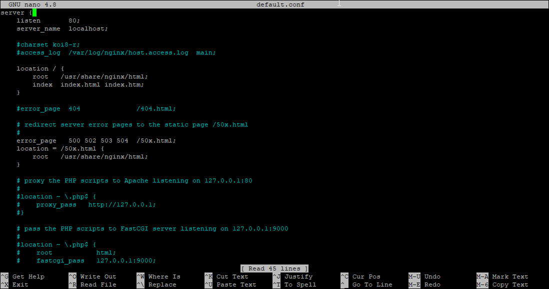 Nginx example config, opened in nano