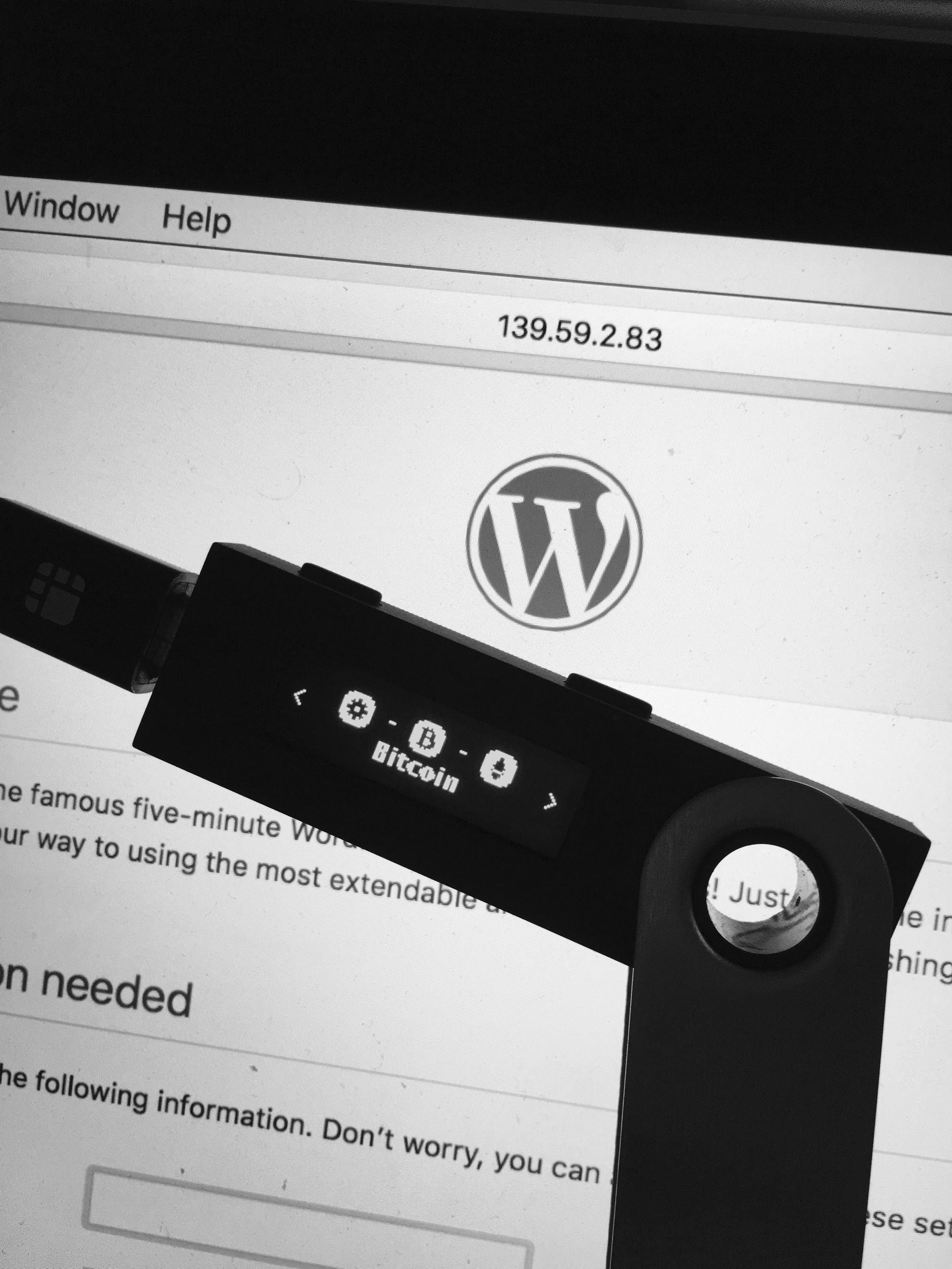 Pay for WordPress hosting with Bitcoin