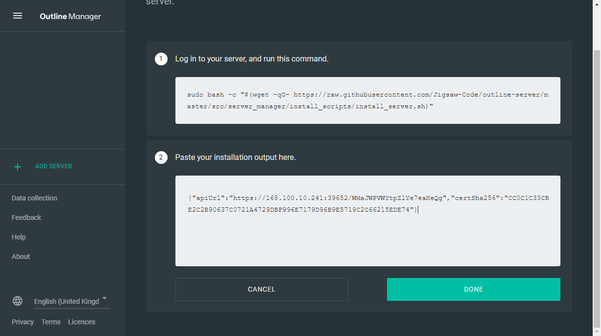 The "Paste your installation output here" section in Outline Manager is populated with an API url.
