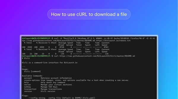 How to use cURL to download a file