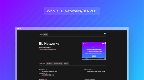 What is BL Networks/BLNWX?